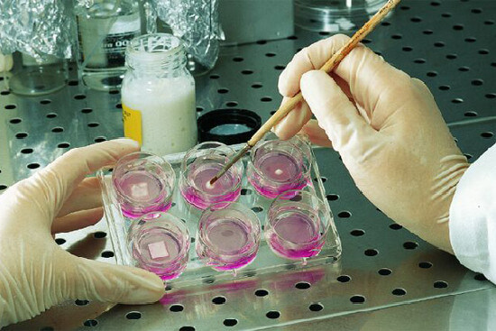 In-vitro-Forschung