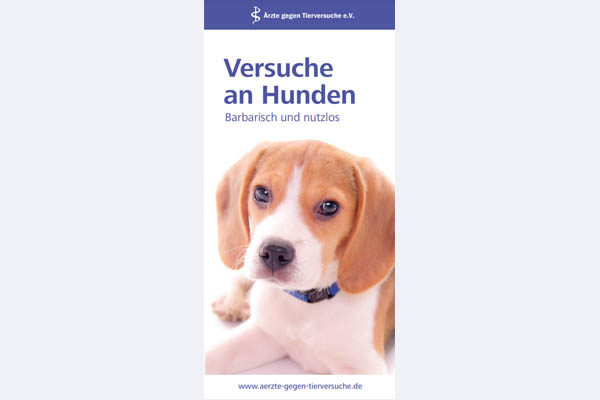 flyer hunde