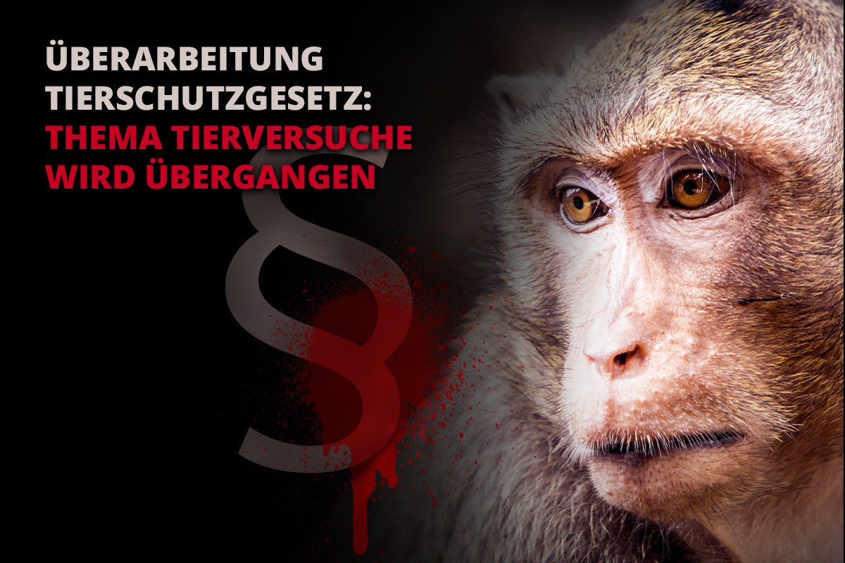 E-Mail-Aktion zum Tierschutzgesetz