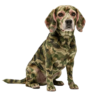 bundeswehr meerschweinchen