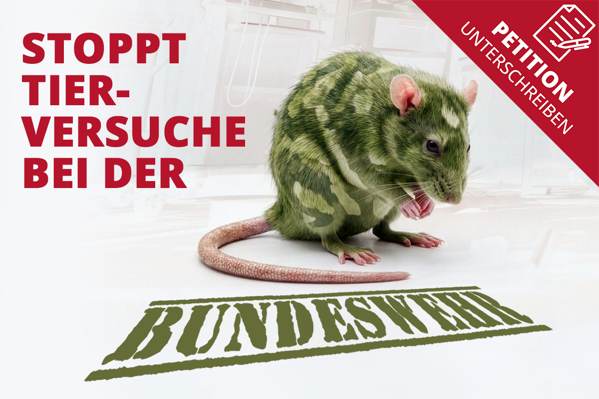 bundeswehr teaser