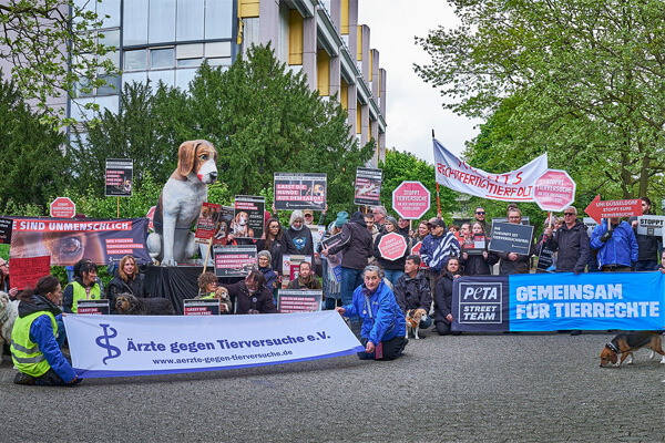 Demo gegen Tierversuche in Düsseldorf