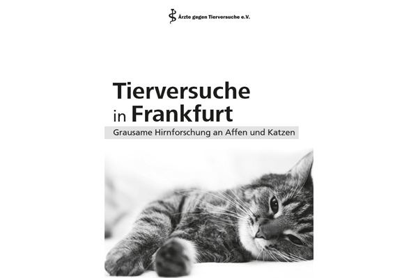 Flyer zum Ernst-Strüngman-Institut