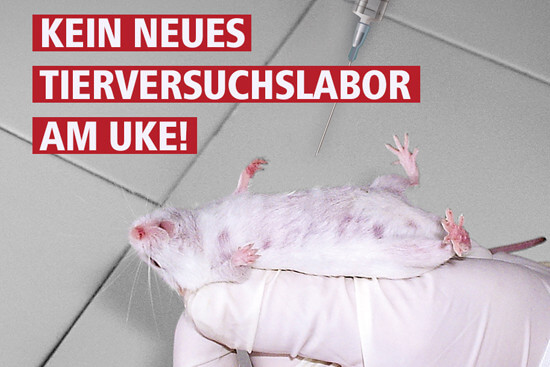 Kein neues Tierversuchslabor am UKE Hamburg