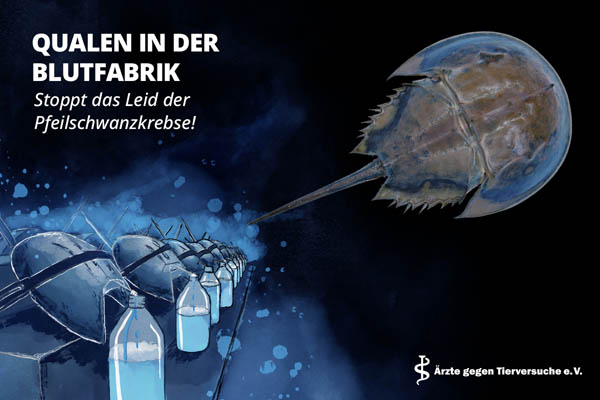 Kampagne Quelen in der Blutfabrik - Stoppt das Leid der Pfeilschwanzkrebse