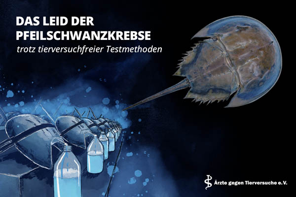LAL-Test - Das Leid der Pfeilschwanzkrebse