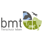 BMT - Logo
