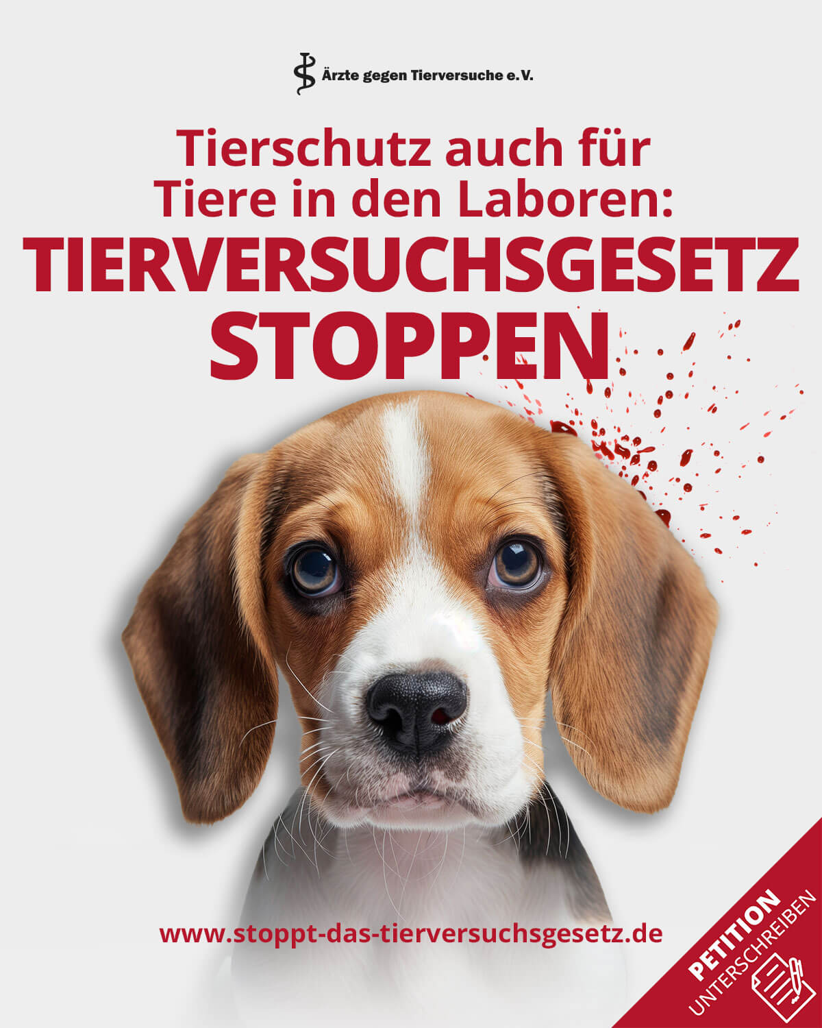 tierversuchsgesetz social media