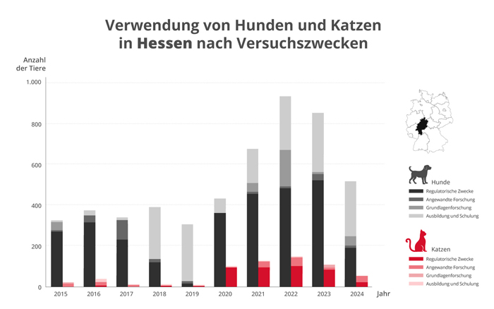 Tierversuche an Hunden und Katzen in Hessen
