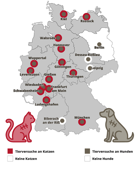 karte hunde und katzen